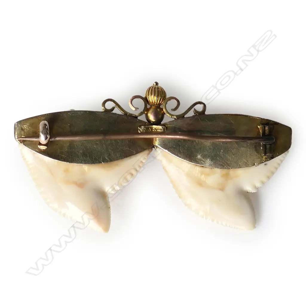 W. Slaney 9ct gold and double shark's tooth butterfly brooch, Image 1++